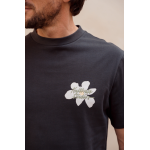 Kultivate TS 3 flowers Kultivate TS 3 flowers