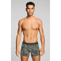 Levi's hatch flower aop boxer